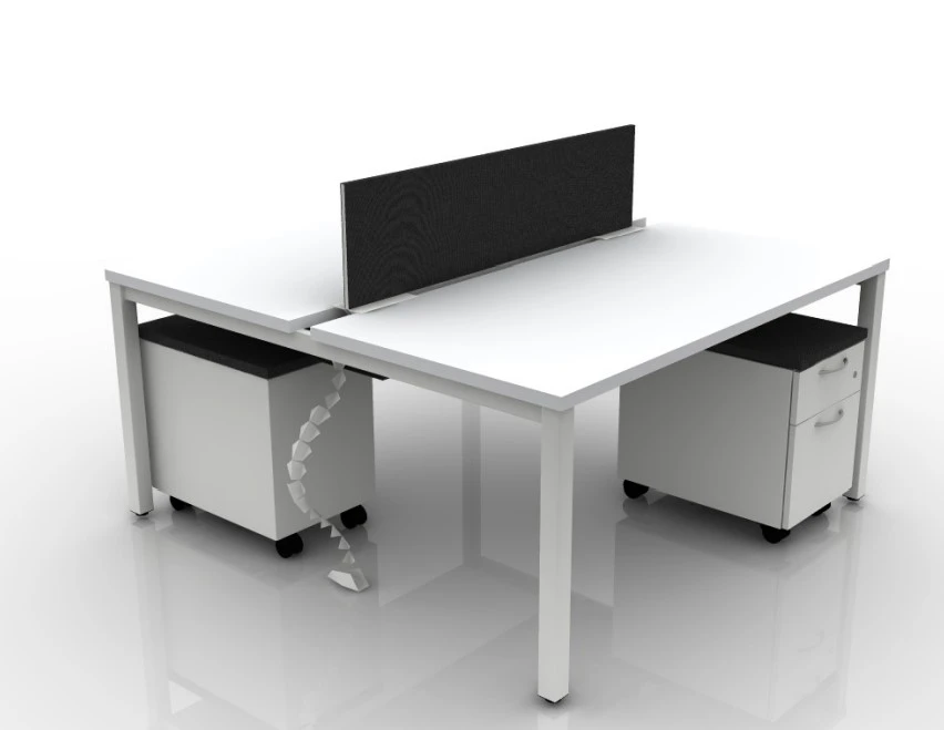 2-Person Office Workstation